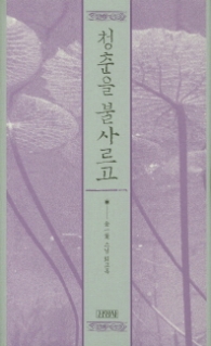 청춘을 불사르고